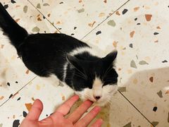 -萤火虫咖啡(后海店)