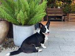 -自由生长植物工作室(深港花卉中心店)