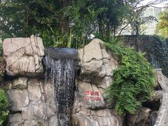 -九龙公园