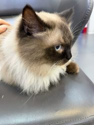 -CIT造型·烫发·染发