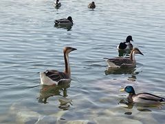 -朝阳公园