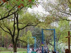 -上海共青森林公园