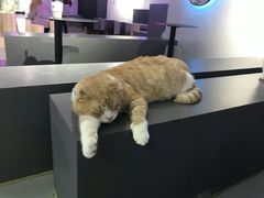 -极木²邸 人与宠物·互动社区
