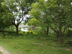 -新江湾城公园