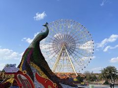 -七彩云南欢乐世界