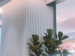 -gaga(深圳福田星河COCO Park店)