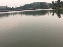 -枫香湖儿童公园