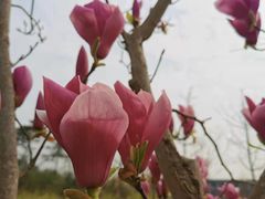 -白鹭湾湿地公园