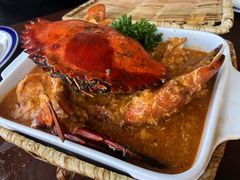 -茉莉.Red Crab