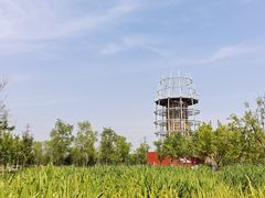 -永定河休闲森林公园