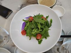 -新天明砂锅鱼头煲