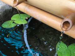 -小茶闲舍·观景商务茶馆(广州塔店)