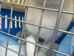 -爱派特动物医院·全科诊疗中心