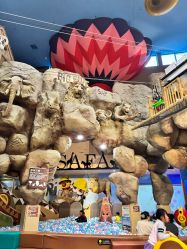 -卡通尼·Safari非洲探索乐园·生日会(金桥国际商业广场店)