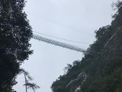 -九龙江国家森林公园