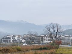 -塔川景区