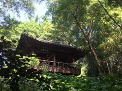 -火炉山森林公园