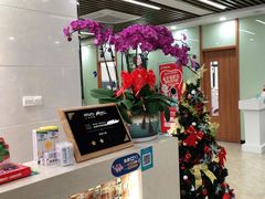 -茂菊口腔连锁(浦东南路店)