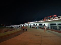 -演武大桥观景平台