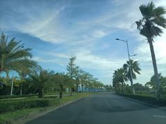 -北海金海湾红树林生态旅游区