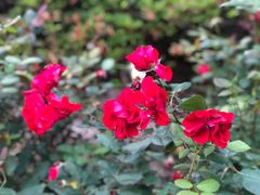 -苏州河梦清园环保主题公园