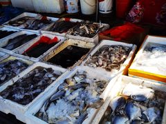 -芦潮港集贸市场