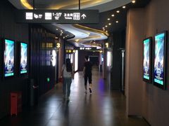 -卢米埃影城(住总万科杜比全景声激光店)