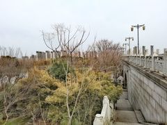 -尚贤河湿地