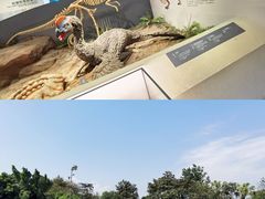 -自贡恐龙博物馆