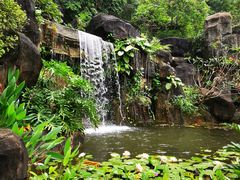 -广州神农草堂中医药博物馆