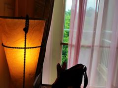 -三亚亚龙湾金棕榈度假酒店