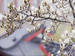 -堤角公园
