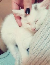 -尚美日式美甲美睫工作室