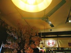 -金龙咖喱