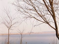 -野鸭湖国家湿地公园