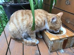 -知亘茶食