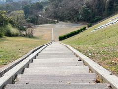 -龙坞茶村