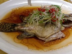-锦江都城经典达华静安寺酒店·餐厅