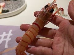 -上井料理黑金店(IFS国金中心店)