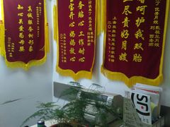 -阿姨来了月嫂服务中心(徐汇店)