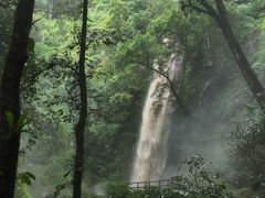 -莫里热带雨林景区