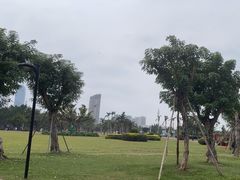 -万绿园