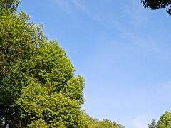 -胜丰草莓采摘园