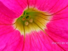 -视禾摄影培训(越秀区分部)