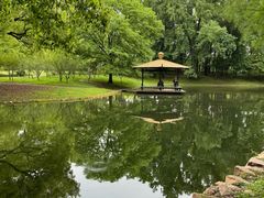 -上海共青森林公园