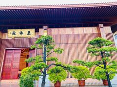 -深圳仙湖植物园