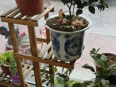 -李先生牛肉面大王(昌平鼓楼店)