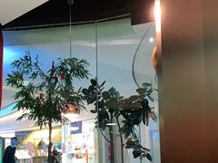 -中8楼风尚云南菜(颐堤港店)