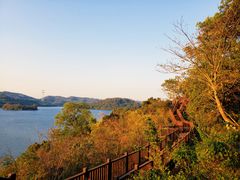 -梧桐山风景名胜区