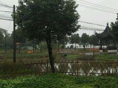 -丫丫蟹庄·苏式园林农家乐·阳澄湖大闸蟹(阳澄湖莲花岛店)